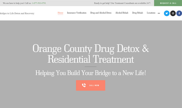 Bridges to Life Detox